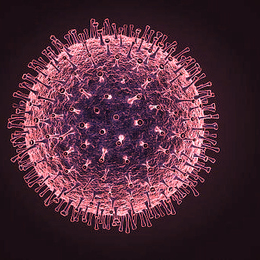 Corvid-19 Virus