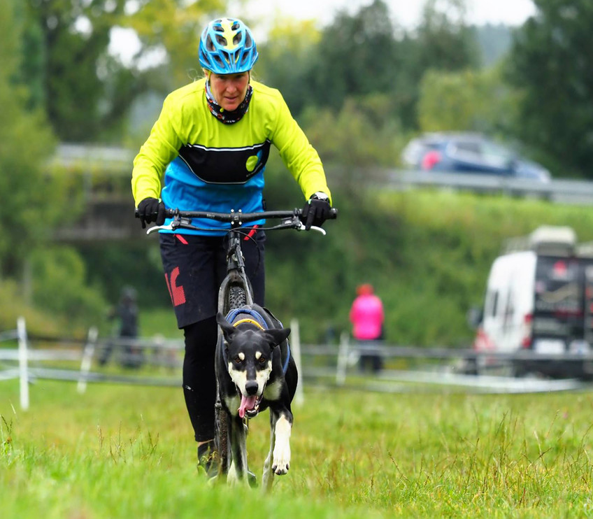 Hundesport Langarm Trikot esjod in Action - Hessenhounds