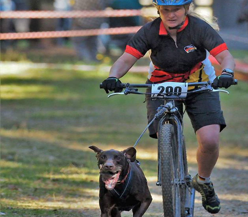 Hundesport Kurzarm Trikot esjod in Action beim VDSV