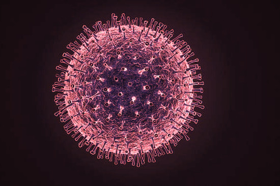 News: Corvid-19 Virus
