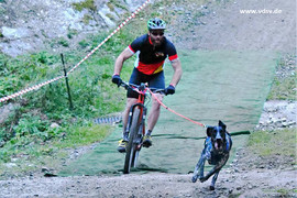 Hundesport im VDSV Team