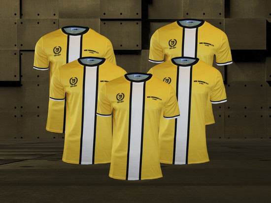 Teamtrikot MSC Odenheim UV50 - Lauftrikot