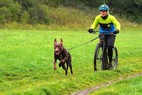 Langram Hundesport Trikot Hessenhounds