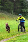 Hundesport Trikots Langarm Hessenhounds