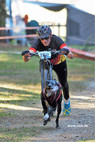 VDSV Hundesport in Action - esjod Bekleidung