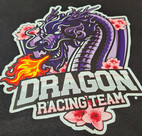 Bilderdruck auf Teamhoodie - DRAGON Reacing